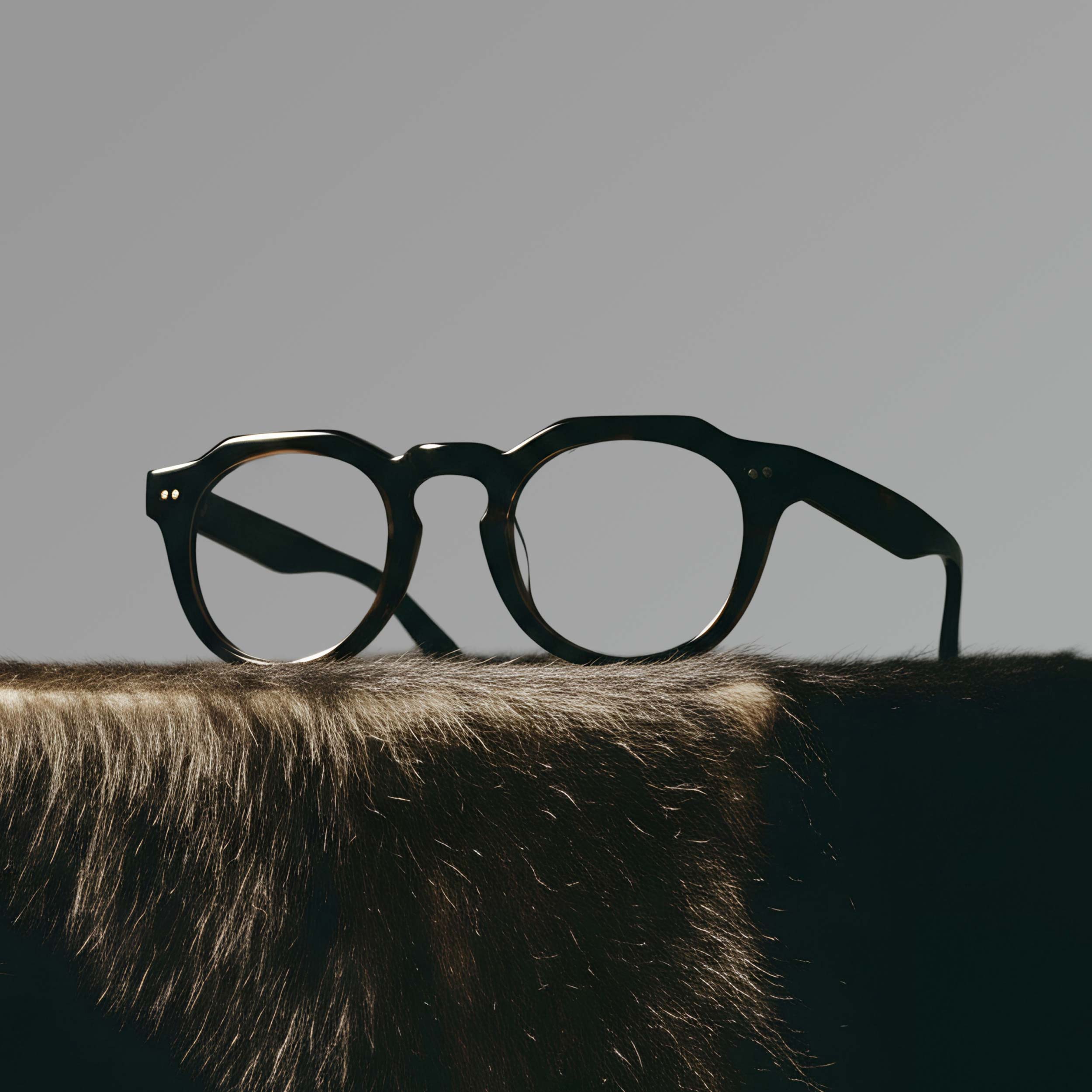 Buffalo Horn