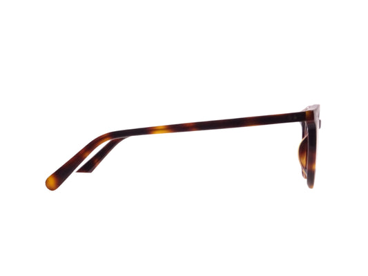 You (dark turtle) (sun)